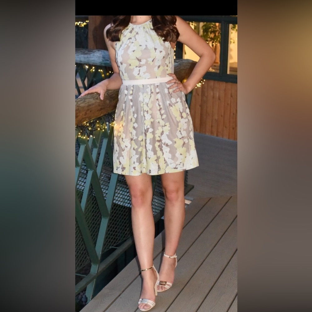 BCBG Maxazria Embroidered Dress